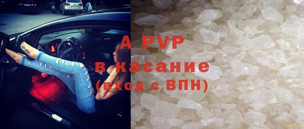 ПСИЛОЦИБИНОВЫЕ ГРИБЫ Карталы