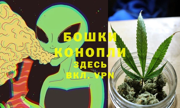 ПСИЛОЦИБИНОВЫЕ ГРИБЫ Карталы