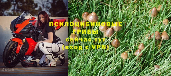 ПСИЛОЦИБИНОВЫЕ ГРИБЫ Карталы