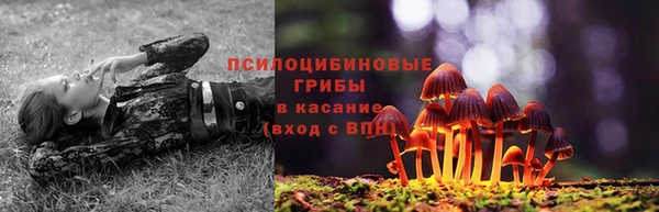 ПСИЛОЦИБИНОВЫЕ ГРИБЫ Карталы