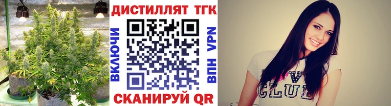 Купить  Гусиноозёрск  ТГК концентрат 