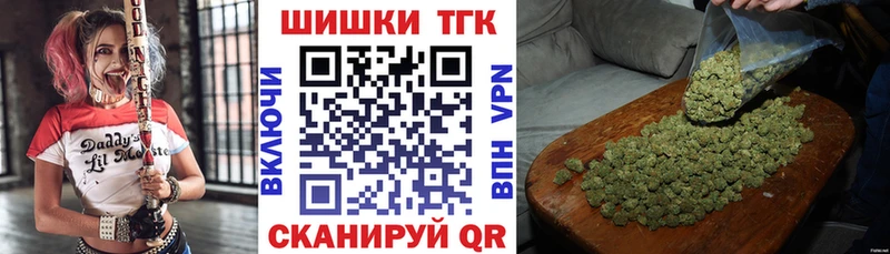 Купить закладки  Гусиноозёрск  Бошки Шишки тримм 